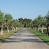la canonja