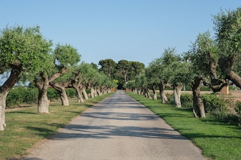 la canonja