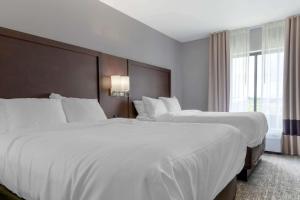 comfort suites
