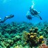 blue roatan resort