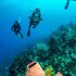 blue roatan resort