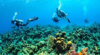 blue roatan resort