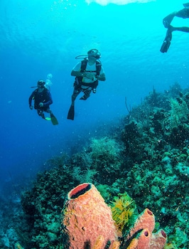blue roatan resort