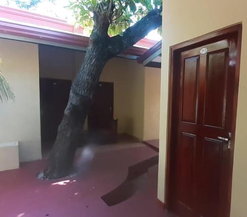 lavendish country resort