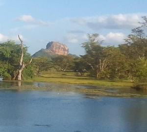 lavendish country resort