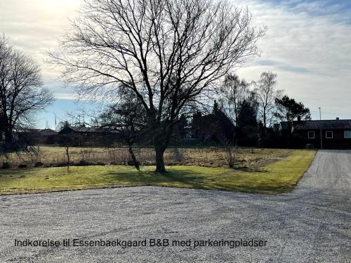 randers