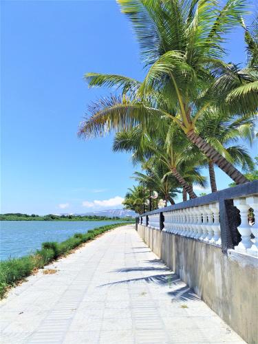 quy nhon
