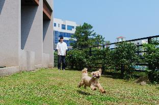 jeju frame spavill pension