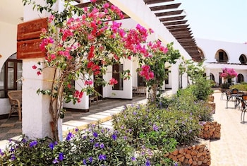 aida hotel sharm el sheikh