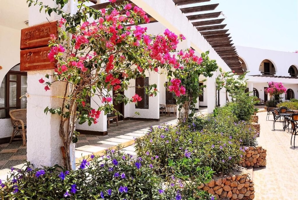 aida hotel sharm el sheikh
