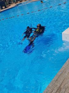 aida hotel sharm el sheikh