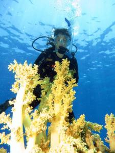 sharm el sheikh