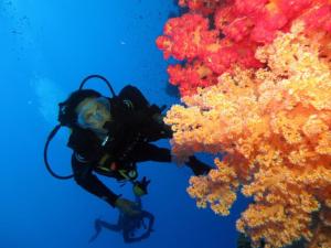 sharm el sheikh