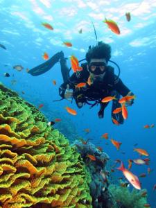 sharm el sheikh