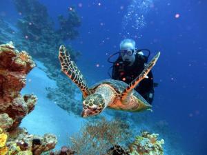 sharm el sheikh
