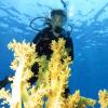 sharm el sheikh