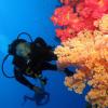sharm el sheikh