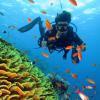 sharm el sheikh