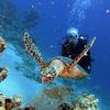 sharm el sheikh