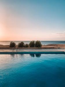 adrenalin beach lodge