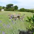 porth veor manor sure hotel collection by best western