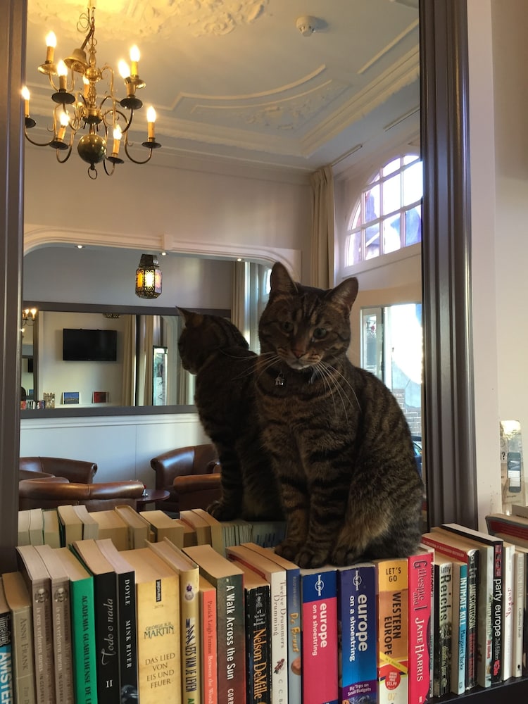 hotel clemens amsterdam