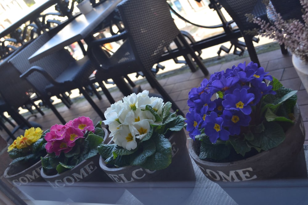 hotel clemens amsterdam