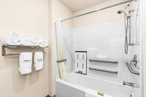 cobblestone hotel and suites international falls