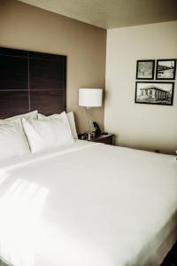 cobblestone hotel and suites international falls