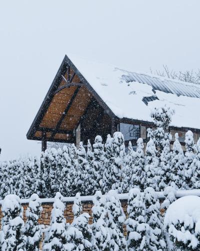 kartepe panorama suites