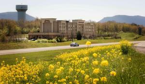 hampton inn and suites woodstock va