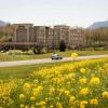 hampton inn and suites woodstock va