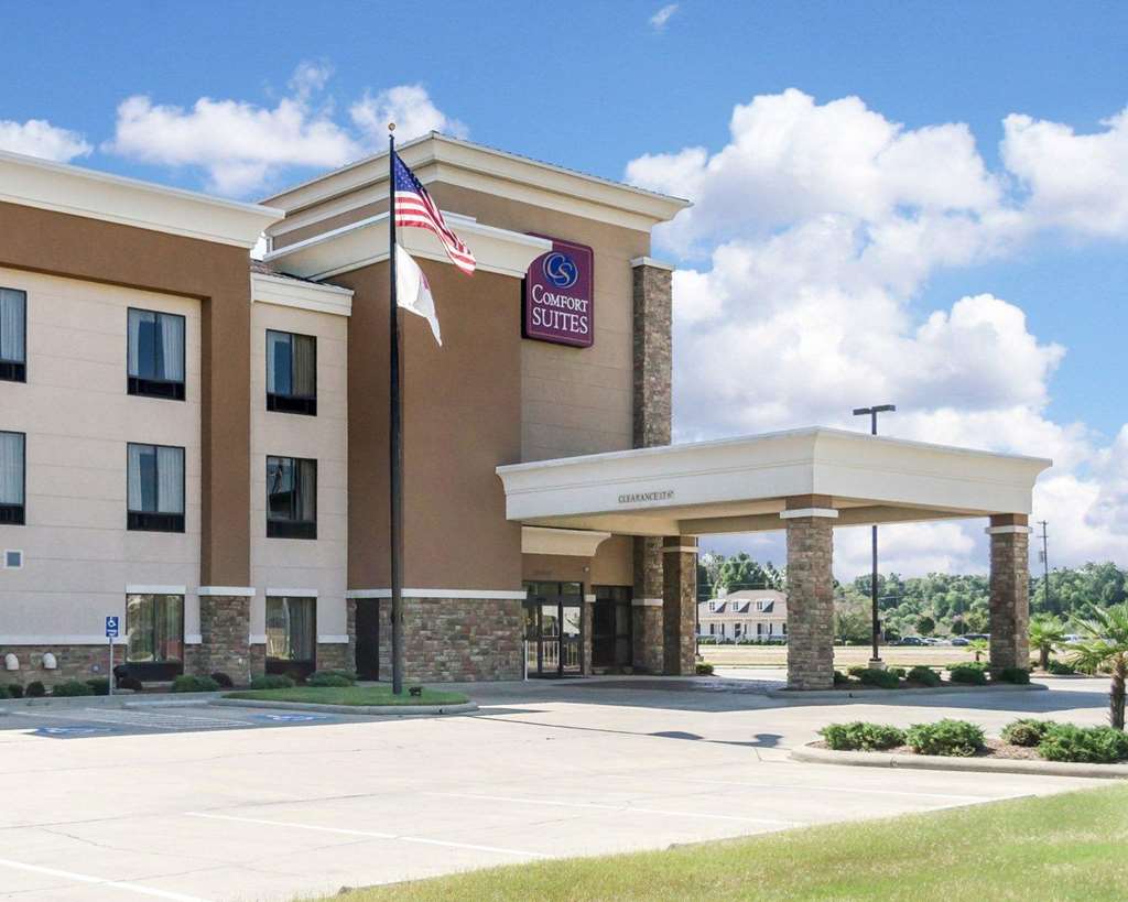 comfort suites greenwood