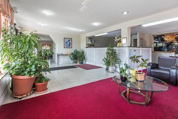 rodeway inn and suites