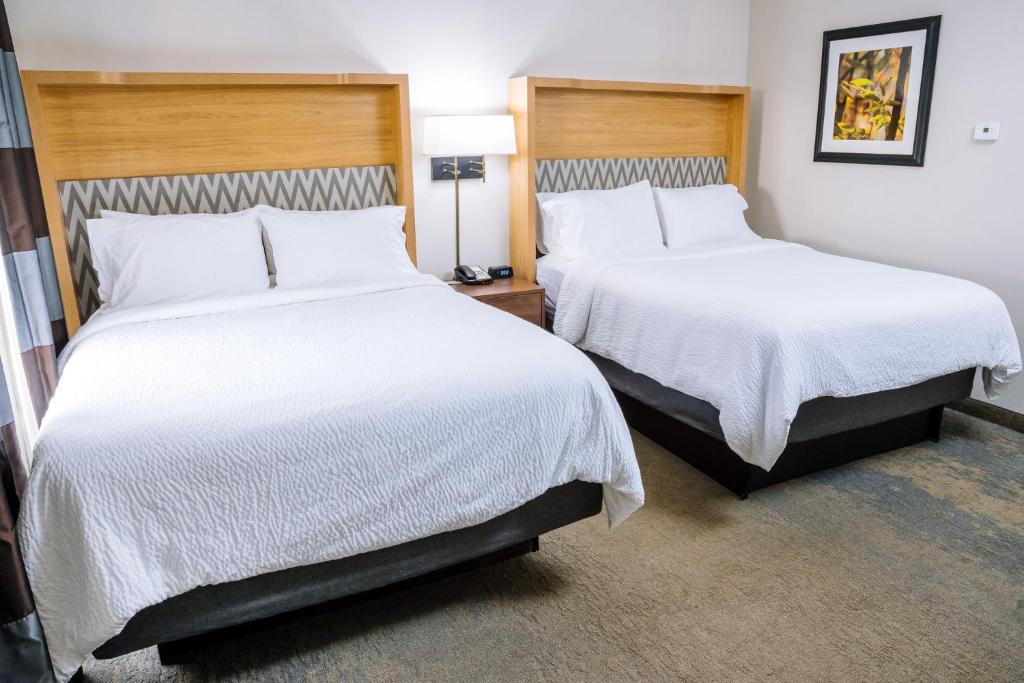 holiday inn and suites stockbridge atlanta i 75