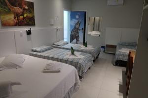 hotel recanto dos dinossauros