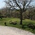 primequerce agriturismo