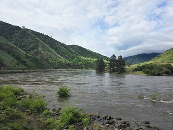 steelhead inn
