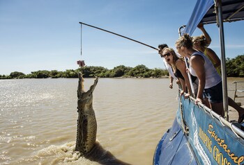 Darwin Freespirit Resort,Darwin>>Berrimah,4 star