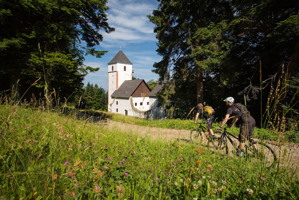 pohorje village resort forest hotel videc