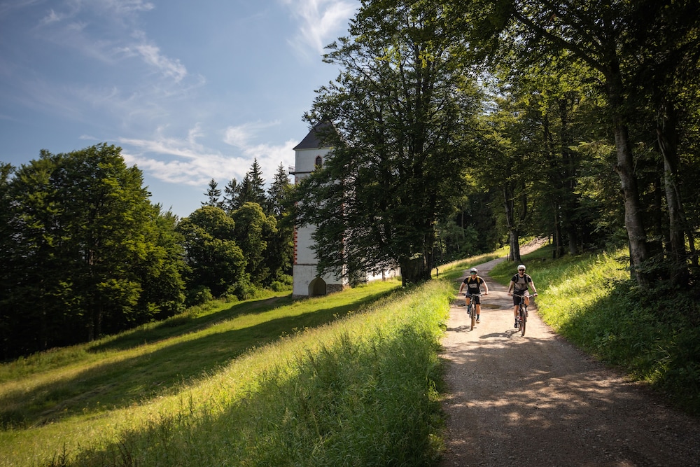 pohorje village resort forest hotel videc