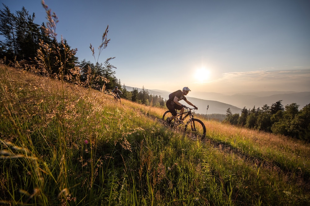 pohorje village resort forest hotel videc