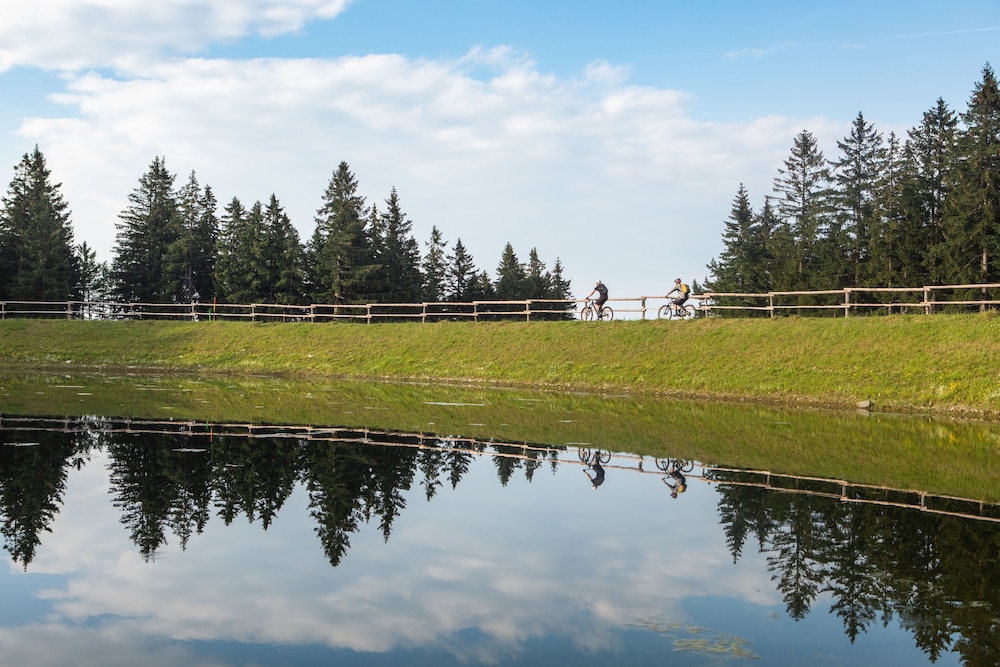 pohorje village resort forest hotel videc