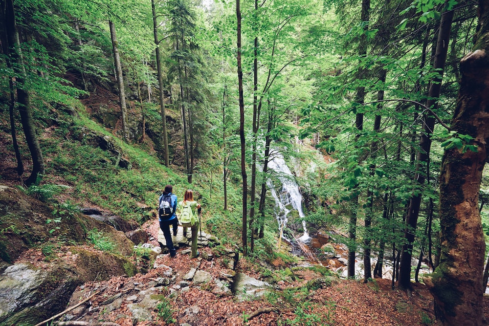 pohorje village resort forest hotel videc