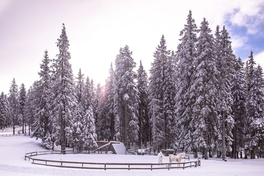 pohorje village resort forest hotel videc