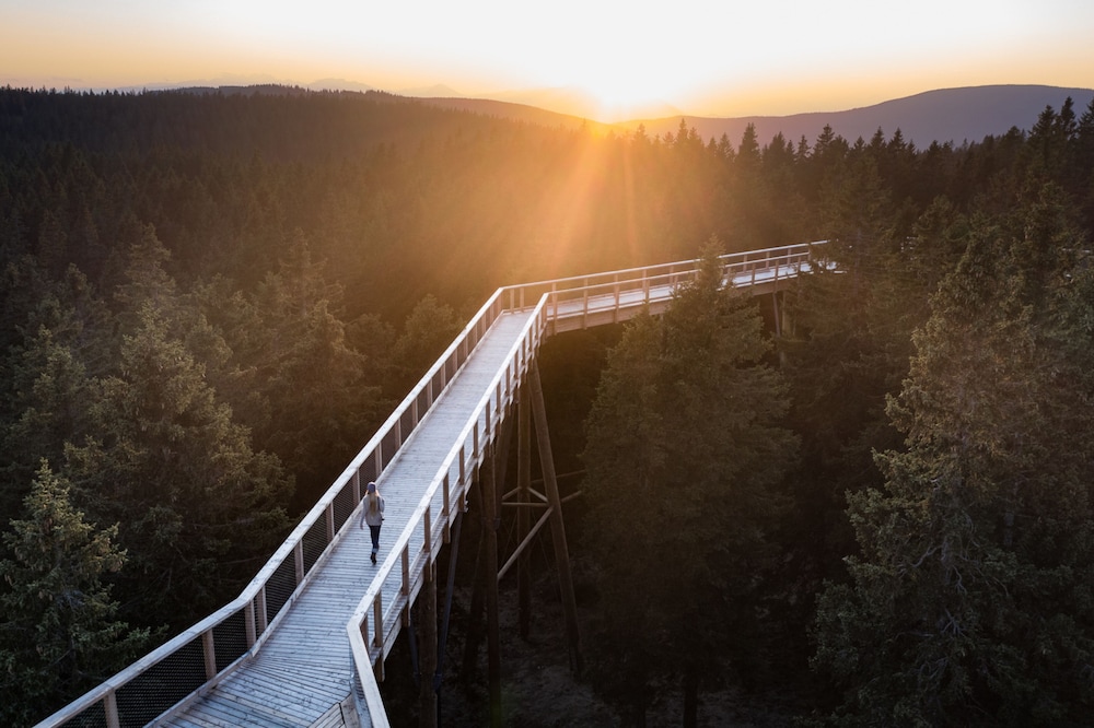 pohorje village resort forest hotel videc