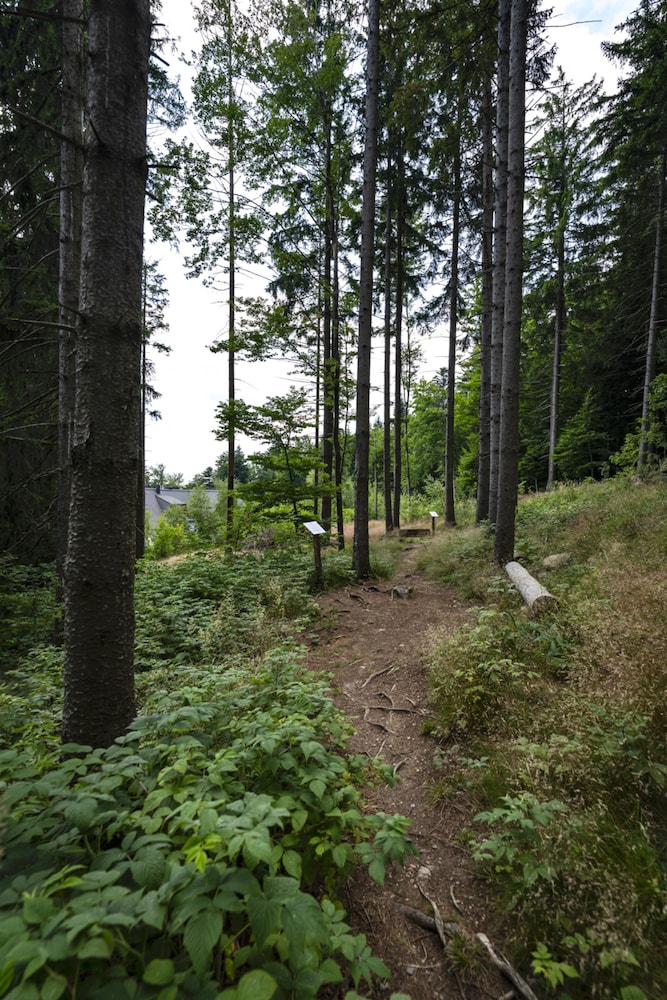 pohorje village resort forest hotel videc