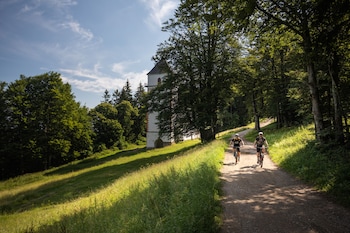 pohorje village resort forest hotel videc