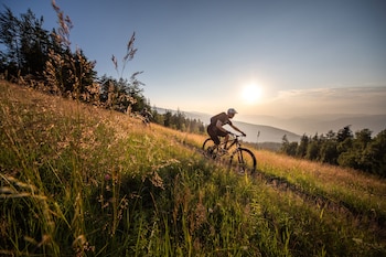 pohorje village resort forest hotel videc