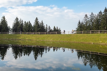 pohorje village resort forest hotel videc